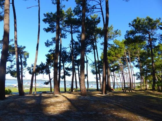 Maison Oceane Proche Plage Βίλα Ares Εξωτερικό φωτογραφία